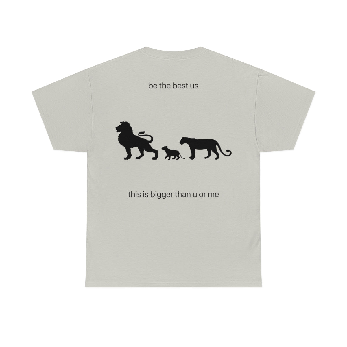 lions pump cover