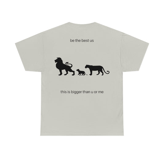 lions pump cover